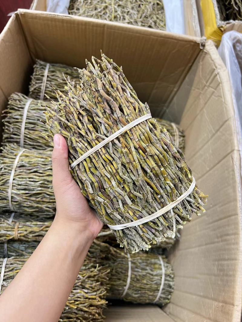 铁皮石斛条基地一手货源直发，品质保证，欢迎来电洽谈合作