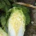 大白菜
