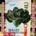 丹麦菠菜种子圆美402菠菜种籽高产墨绿菠菜杂交种籽抗病