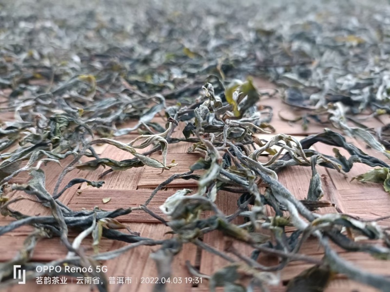 普洱茶.砍盆箐山头茶