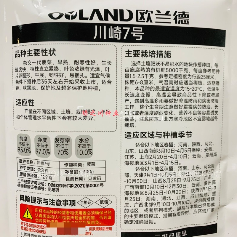 川崎7号杂交一代菠菜种子早熟春秋越冬耐寒抗病直立菠菜种籽
