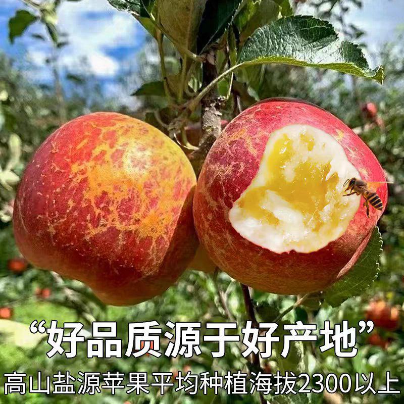 盐源糖心丑苹果产地直供代办，代买，代发