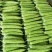 精品新苗苦瓜大量现货，色泽鲜绿齐定，产地直供，欢迎各地客