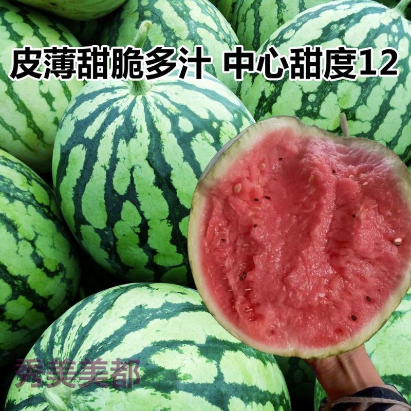 秀美美都西瓜种子皮薄甜脆多汁抗病丰产耐储运南方北方春夏秋