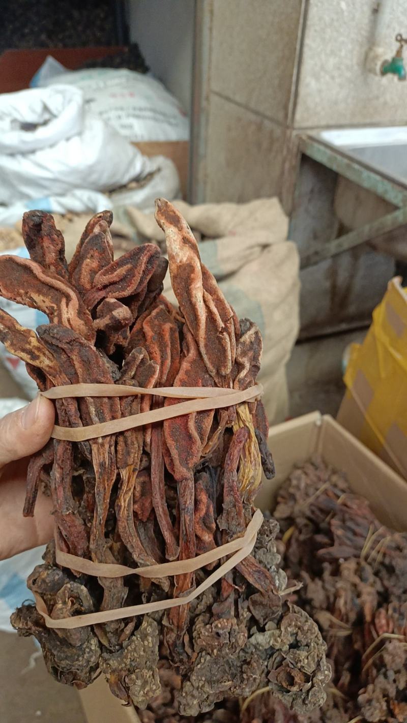 回春䓍