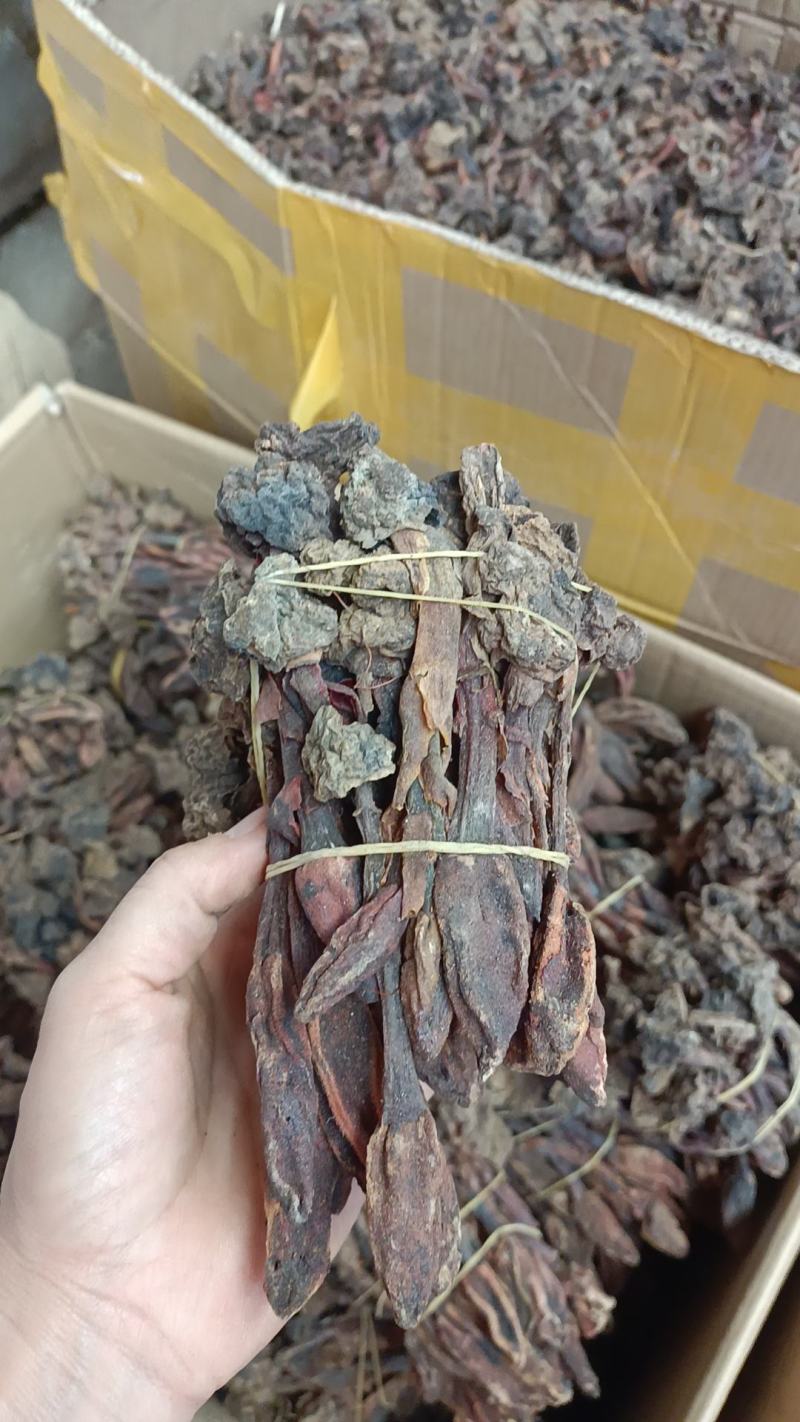 回春䓍