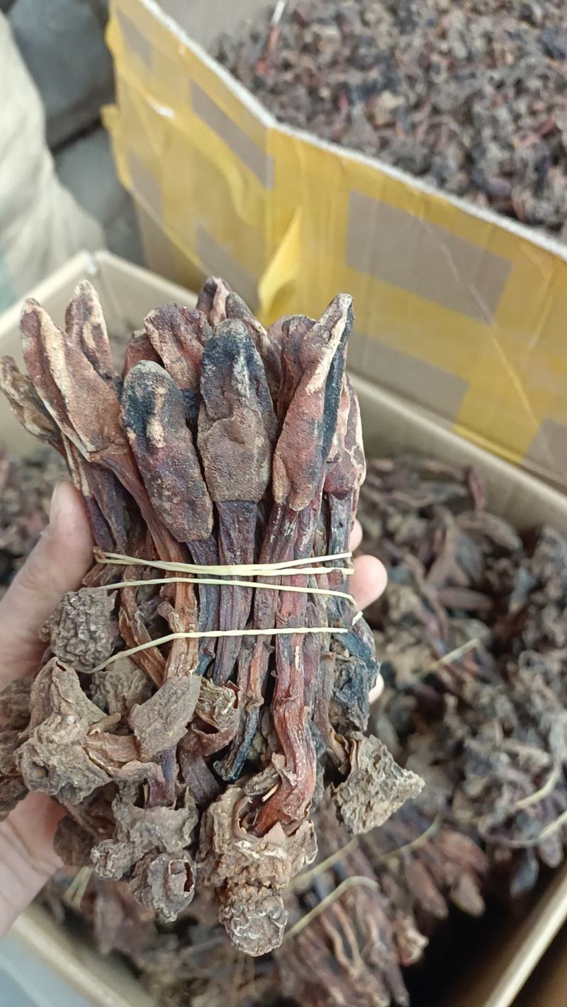 回春䓍
