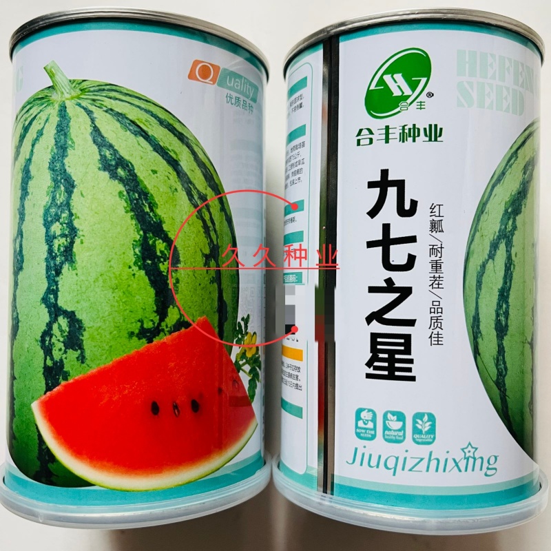 合丰九七之星西瓜种子早熟超甜红瓤美都西瓜种籽耐重茬大圆果