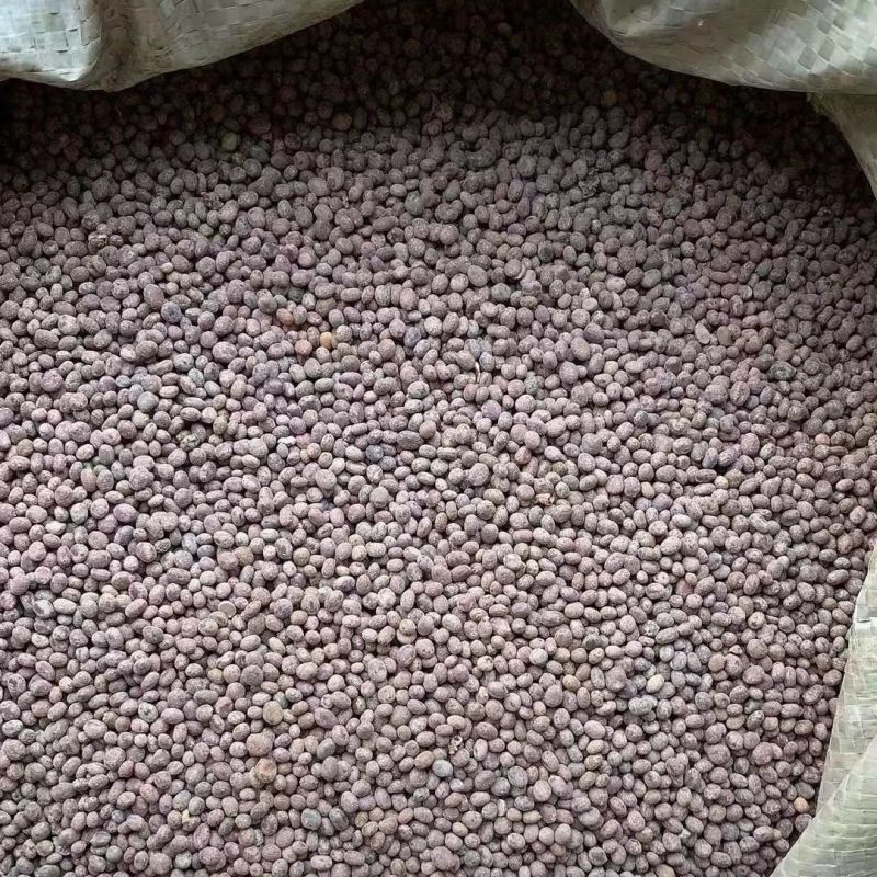 急性种子急性子种子黄鸟专用食白苏子苏子中药材籽食用