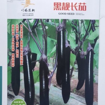 茄子种子黑靓长茄商品果率高前后期果均顺直耐热耐旱