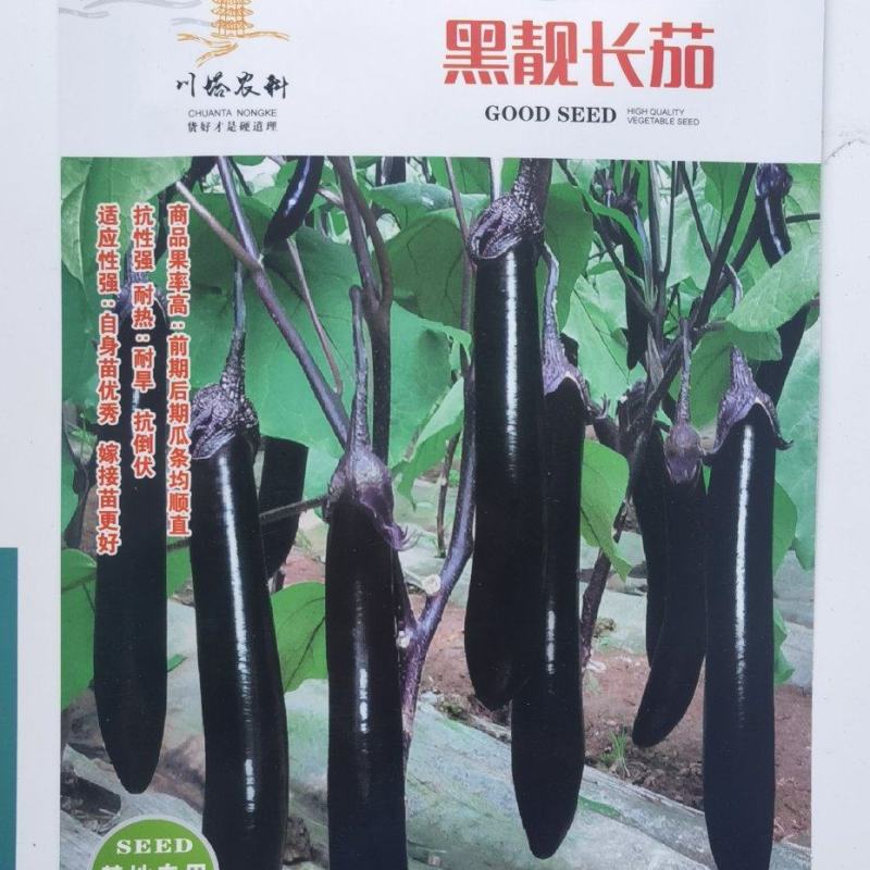 茄子种子黑靓长茄商品果率高前后期果均顺直耐热耐旱