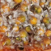 脆蜜金桔