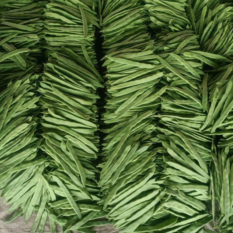 【推荐】莘县产地绿扁豆大量上市可视频看货产地直发保质保量