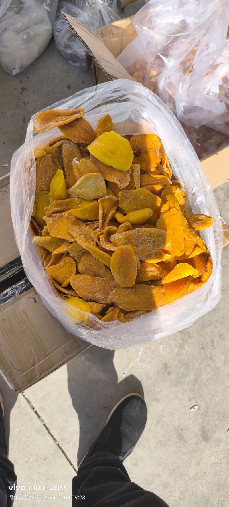 一件代发芒果干大中小片都有货
