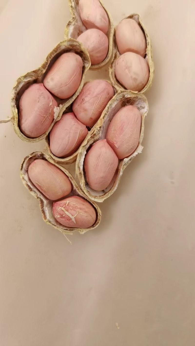 千亩花生，颗粒大，果实饱满，美味可口，面积大，货源充足