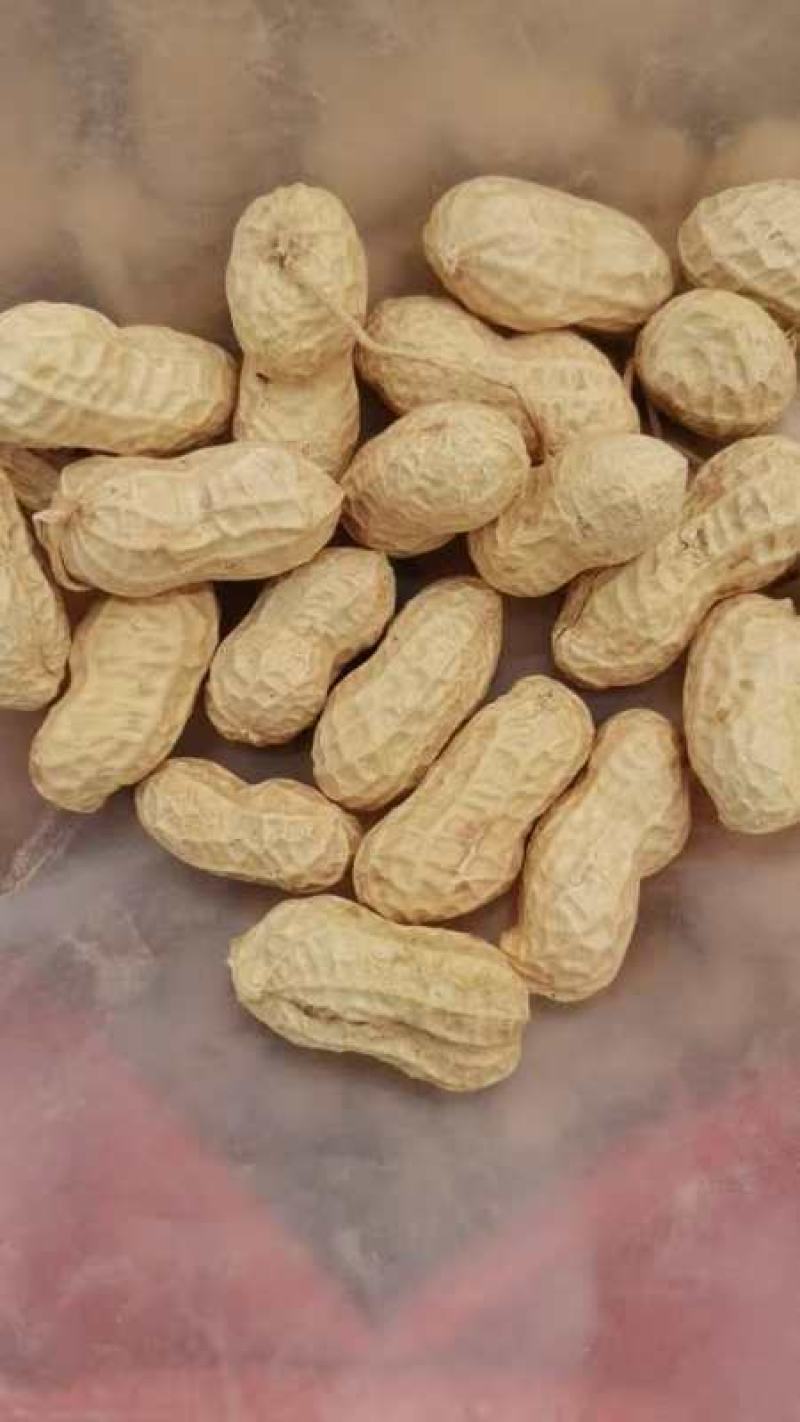 千亩花生，颗粒大，果实饱满，美味可口，面积大，货源充足