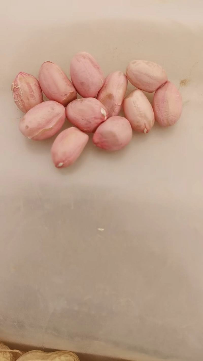 千亩花生，颗粒大，果实饱满，美味可口，面积大，货源充足