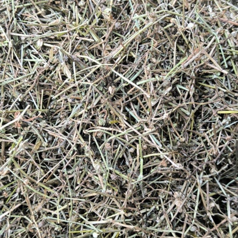 白花蛇舌草蛇草中药材批发白花蛇舌草质量保证量大从优