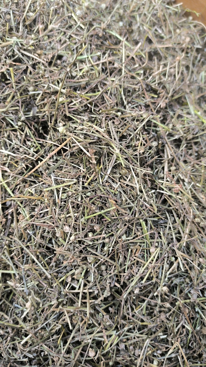 白花蛇舌草蛇草中药材批发白花蛇舌草质量保证量大从优