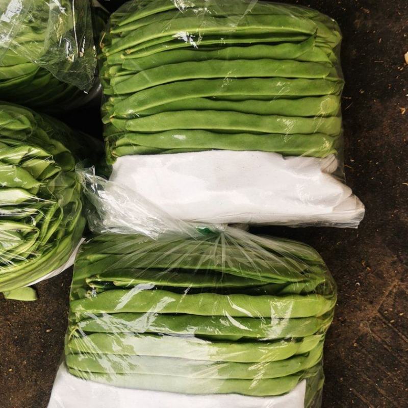 【推荐】山东扁豆，条直，条窄，不起痘，产地供应一手货源