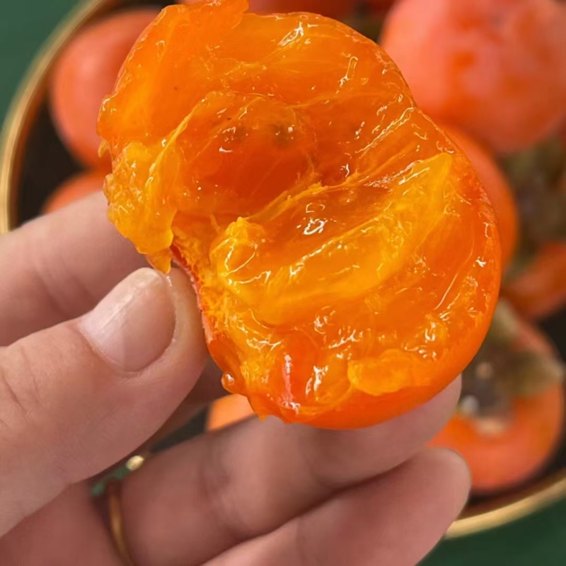 阳丰脆甜柿子供应，火葫芦，火晶柿子，脆柿，甜柿子产地直销