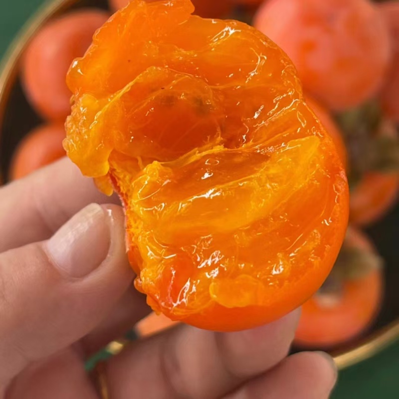 阳丰脆甜柿子供应，火葫芦，火晶柿子，脆柿，甜柿子产地直销