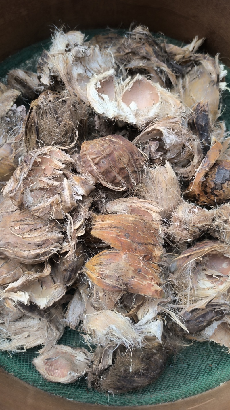 大腹皮中药材批发大腹皮质量保证量大从优