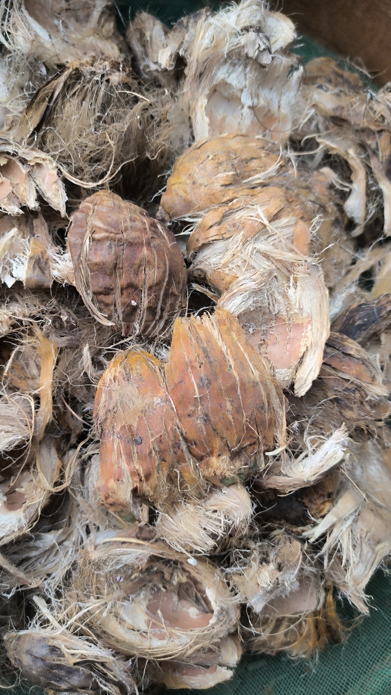 大腹皮中药材批发大腹皮质量保证量大从优
