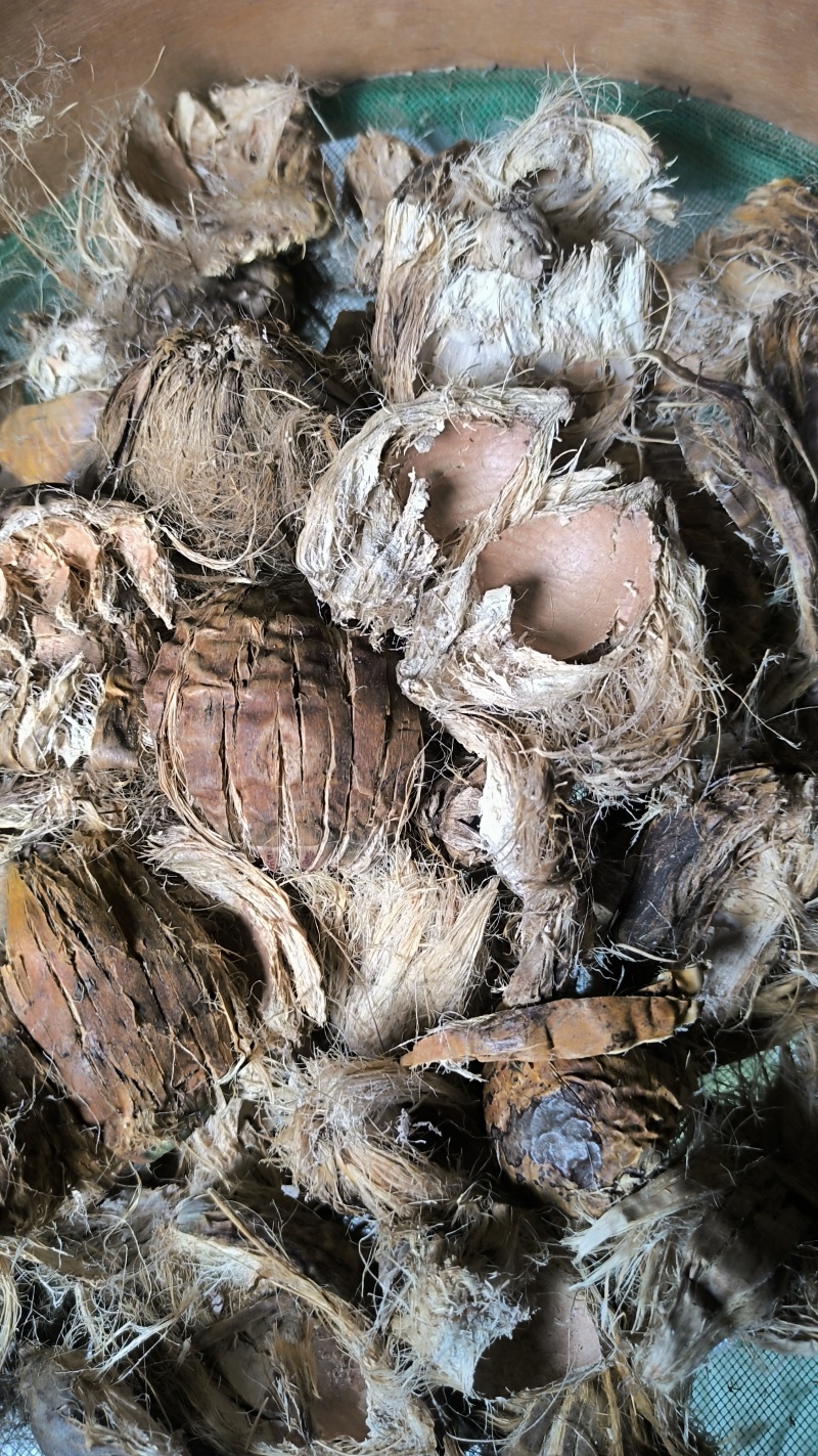 大腹皮中药材批发大腹皮质量保证量大从优