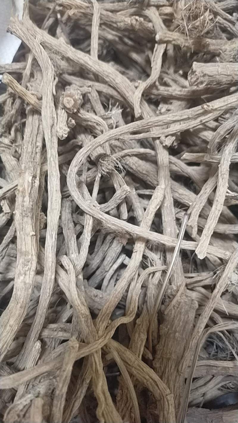 河北，中药材防风大量有货，产地直销，代收代卖，大量走货
