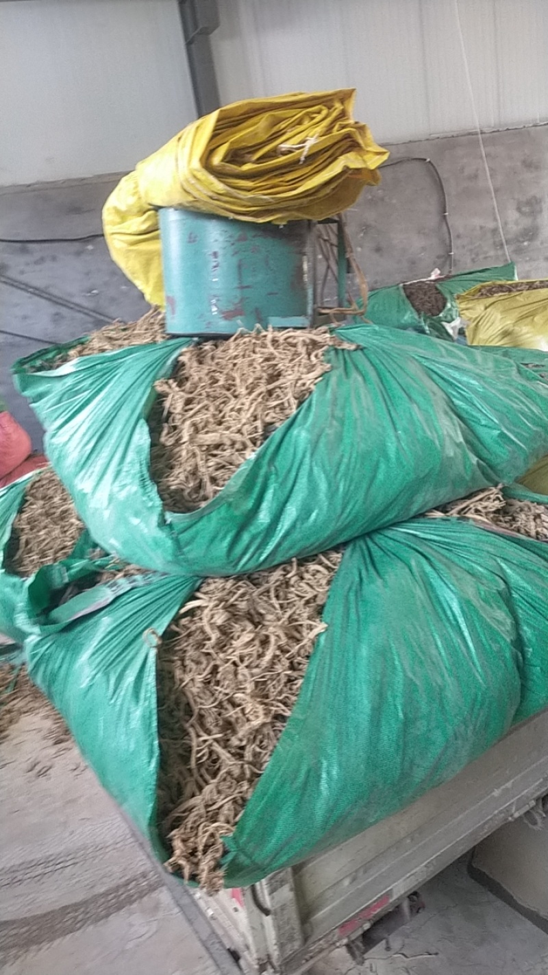 河北，中药材防风大量有货，产地直销，代收代卖，大量走货