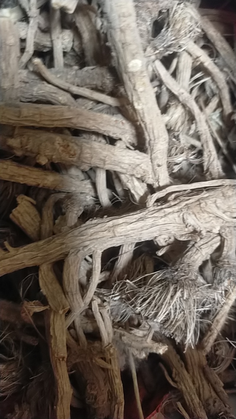 河北，中药材防风大量有货，产地直销，代收代卖，大量走货