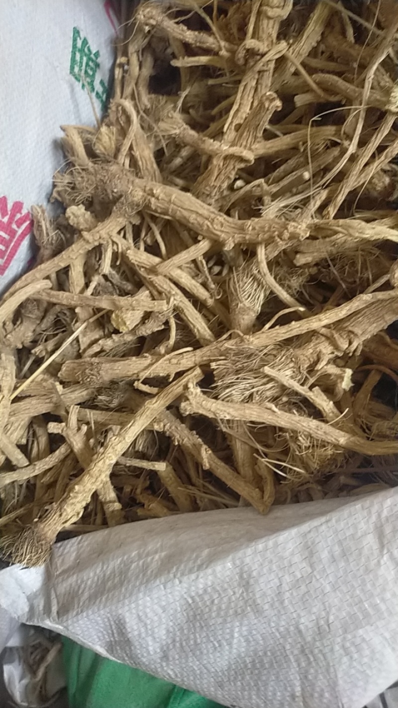 河北，中药材防风大量有货，产地直销，代收代卖，大量走货