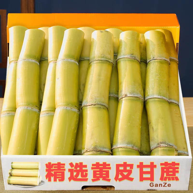 云南黄皮甘蔗/黄金甘蔗产地直供/商超市场/电商/一件代发