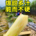 【新货上市】云南甘蔗/黑皮甘蔗/产地批发/量大价优