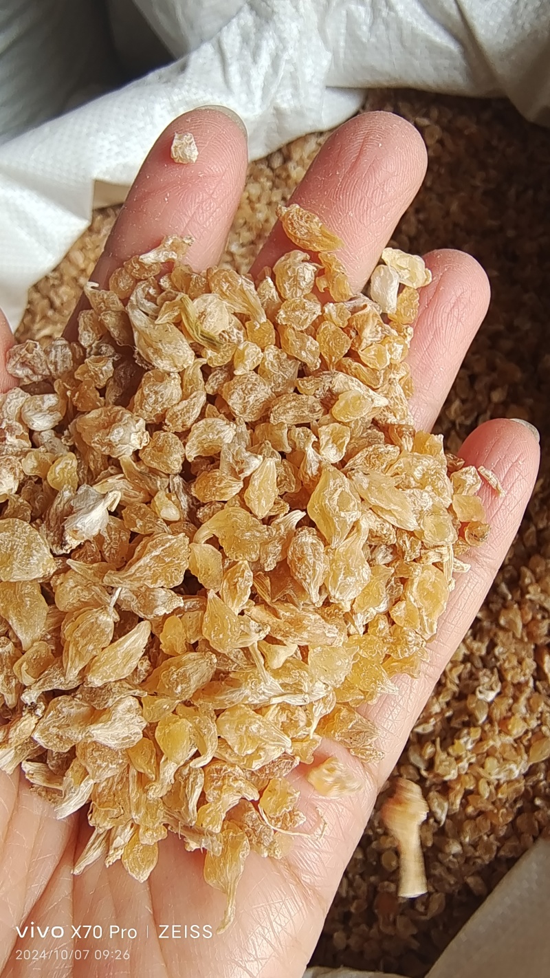薤白选货小根蒜2斤起包邮量大从优
