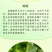 黎宝五指山斑斓冻粉斑斓冻斑斓奶茶椰奶斑斓条官方旗舰店新品