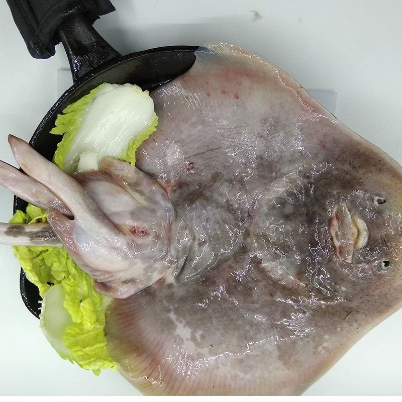 整条老板鱼魔鬼鱼鳐鱼劳子鱼华子鱼新鲜冷冻海鲜鲽鱼当当鱼
