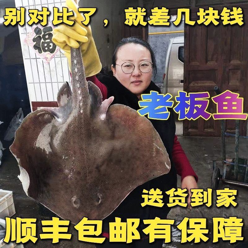 顺丰包邮整条老板鱼魔鬼鱼新鲜冷冻海鲜老子鱼瑶鱼劳板鱼孔瑶