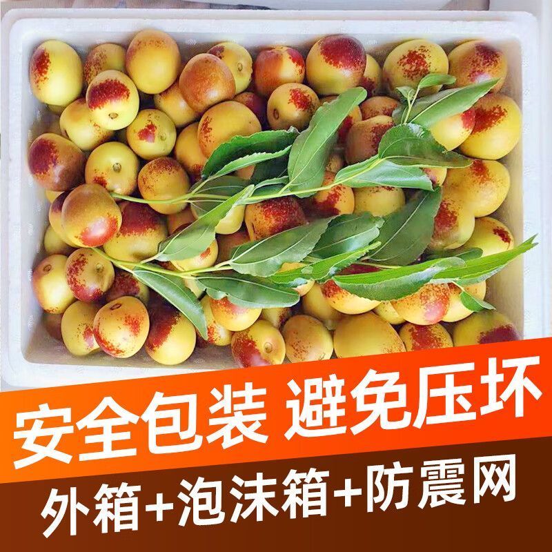 冬枣沾化冬枣对接商超水果店社区团购电商质量高价格低