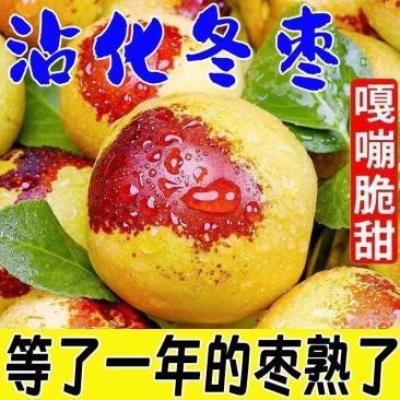 冬枣沾化冬枣对接商超水果店社区团购电商质量高价格低
