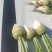 芥菜疙瘩芥菜头产地直发品质保障量大优惠按需包装