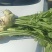 芥菜疙瘩芥菜头产地直发品质保障量大优惠按需包装