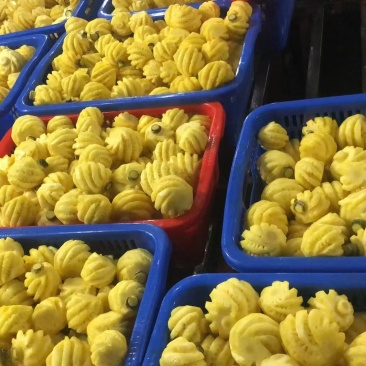 菠萝基地直发价格优惠品质保证量大从优