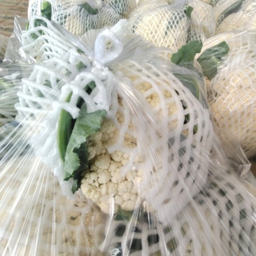 精品菜花江苏松花菜大量上市货源充足量大从优欢迎咨询