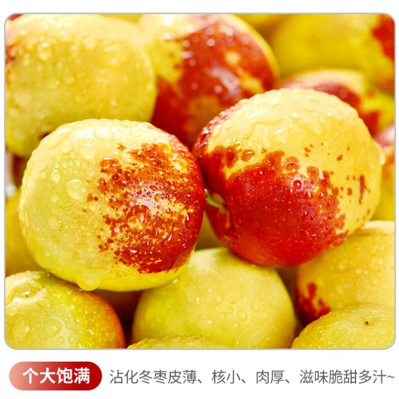 冬枣上市口感脆甜果核小吃了让你忘不掉欢迎各地老板