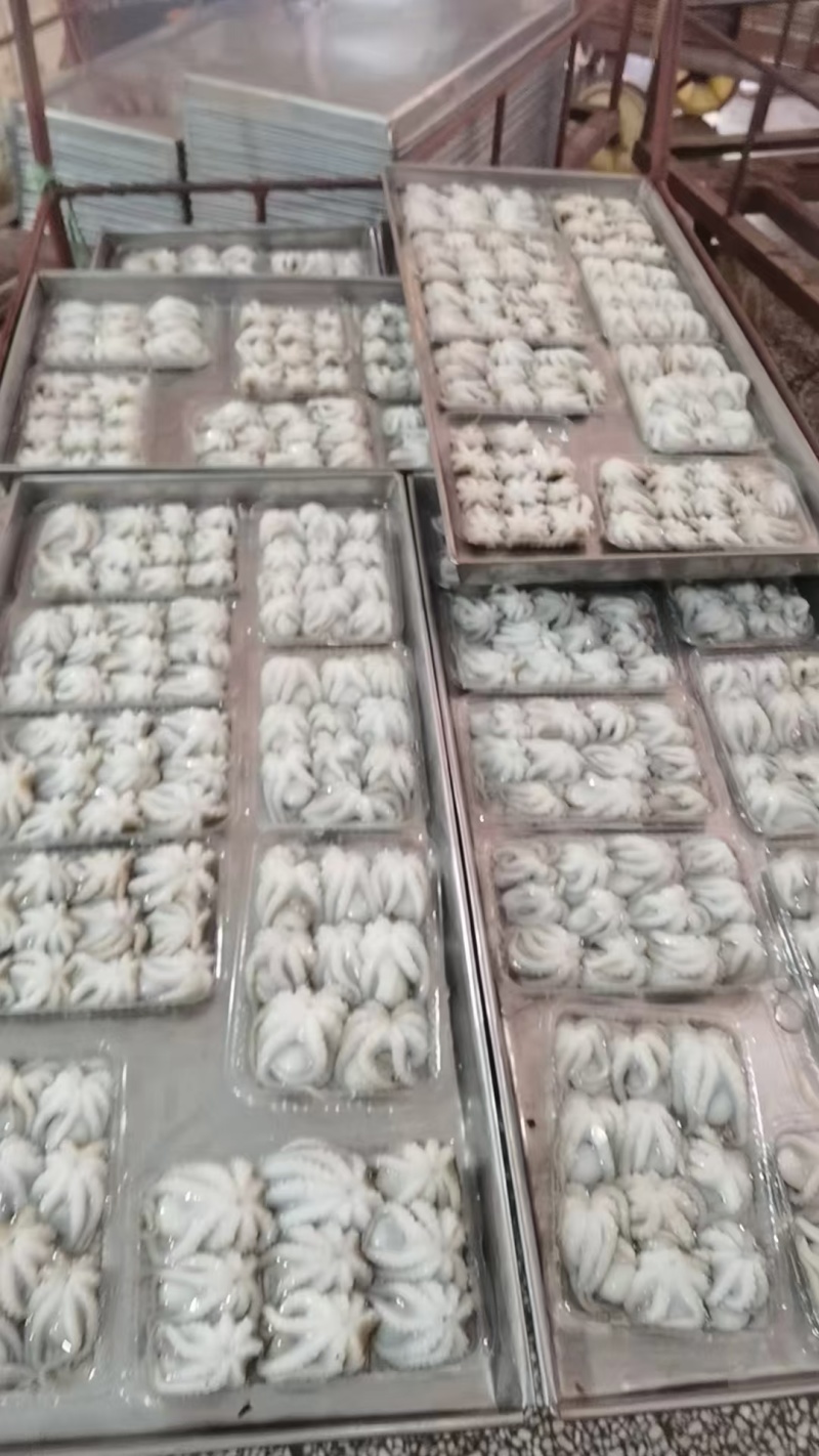 盐磨小八爪