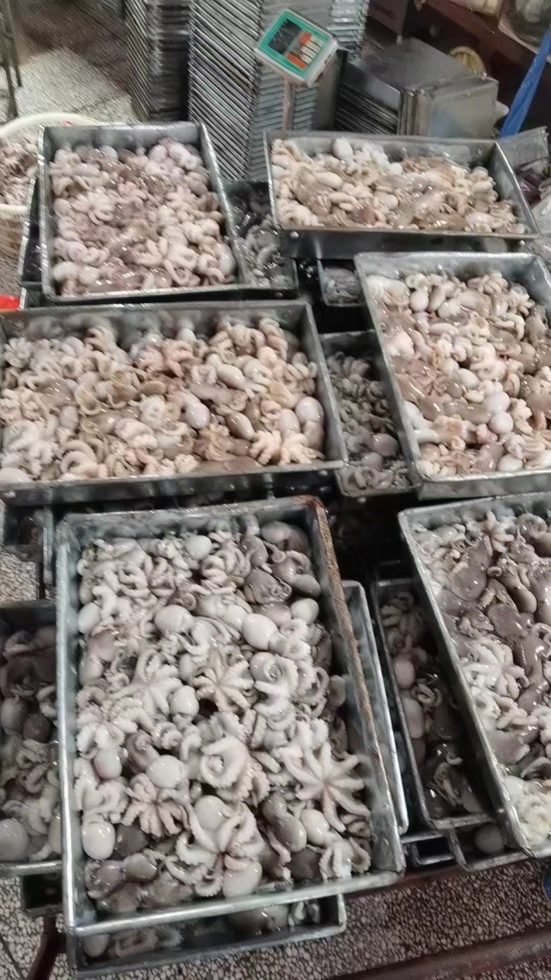 盐磨小八爪