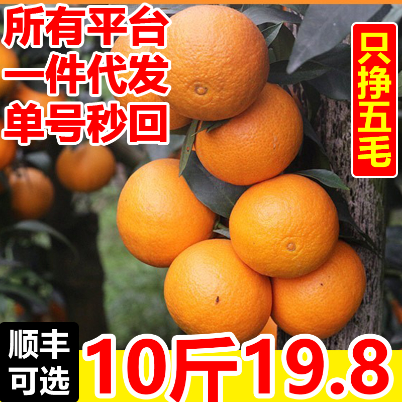 四川爱媛38号果冻橙一件代发鲜货大量上市