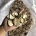 傲宇药材白芷小选货过12号筛货干